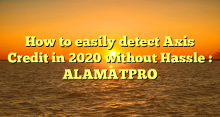 How to easily detect Axis Credit in 2020 without Hassle : ALAMATPRO