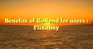 Benefits of GoSend for users : Flixabay